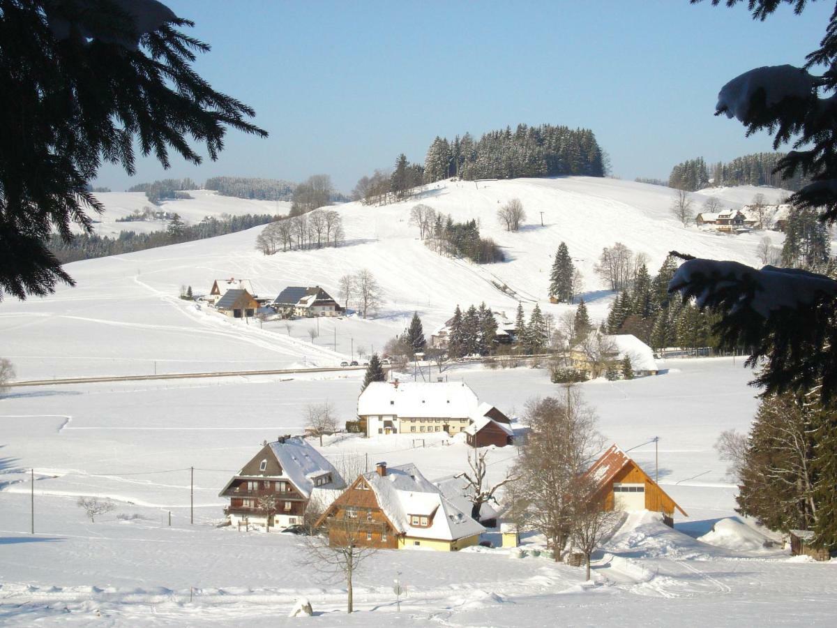 Ferienhaus Ehinger Daire Breitnau Dış mekan fotoğraf