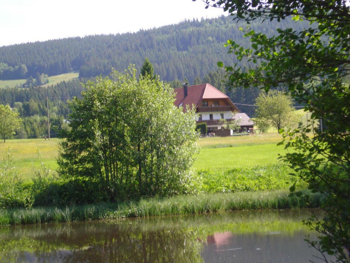 Ferienhaus Ehinger Daire Breitnau Dış mekan fotoğraf