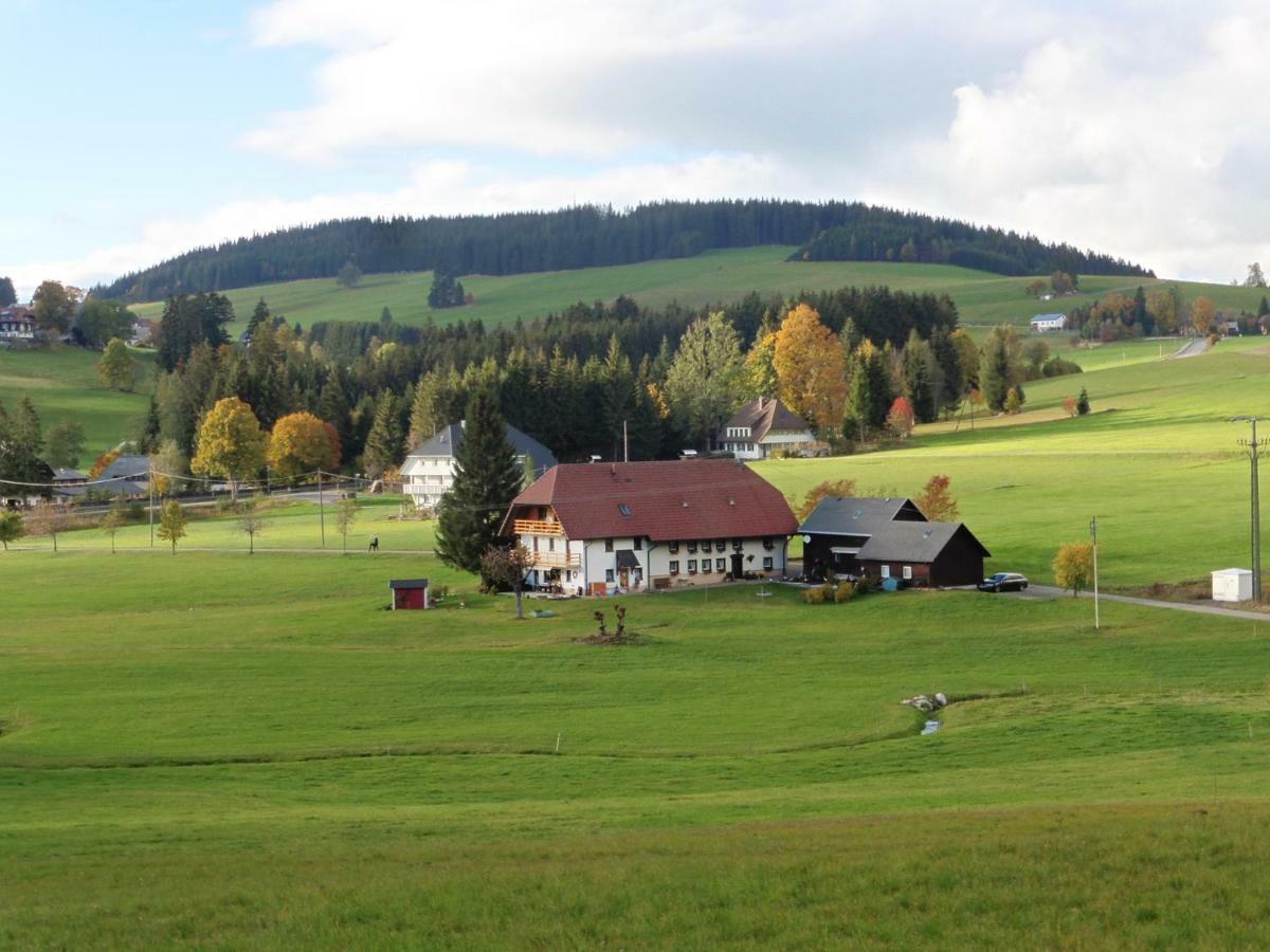 Ferienhaus Ehinger Daire Breitnau Dış mekan fotoğraf