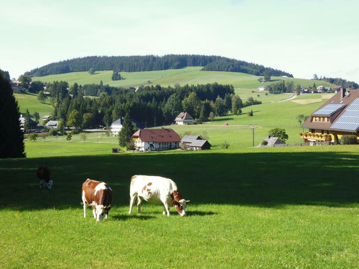 Ferienhaus Ehinger Daire Breitnau Dış mekan fotoğraf