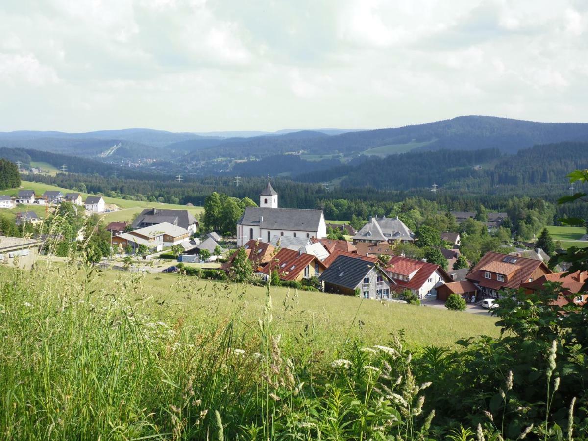 Ferienhaus Ehinger Daire Breitnau Dış mekan fotoğraf