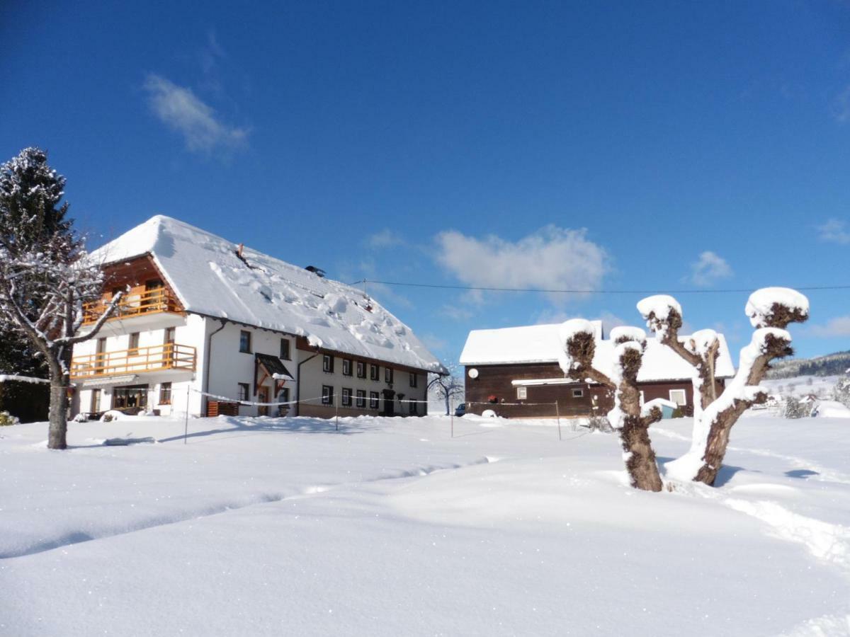 Ferienhaus Ehinger Daire Breitnau Dış mekan fotoğraf