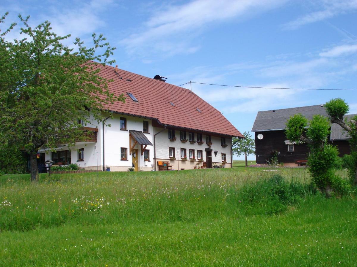 Ferienhaus Ehinger Daire Breitnau Dış mekan fotoğraf