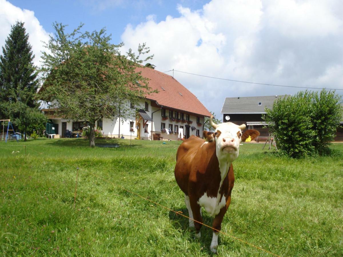 Ferienhaus Ehinger Daire Breitnau Dış mekan fotoğraf