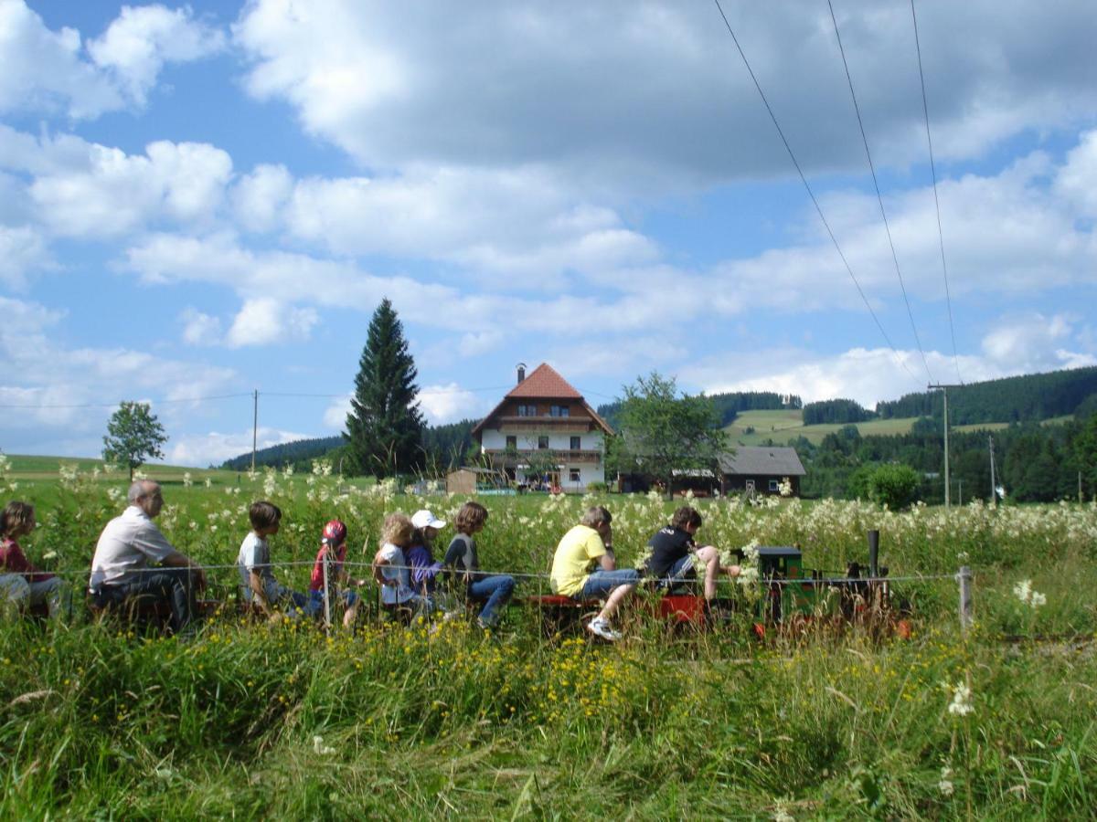 Ferienhaus Ehinger Daire Breitnau Dış mekan fotoğraf