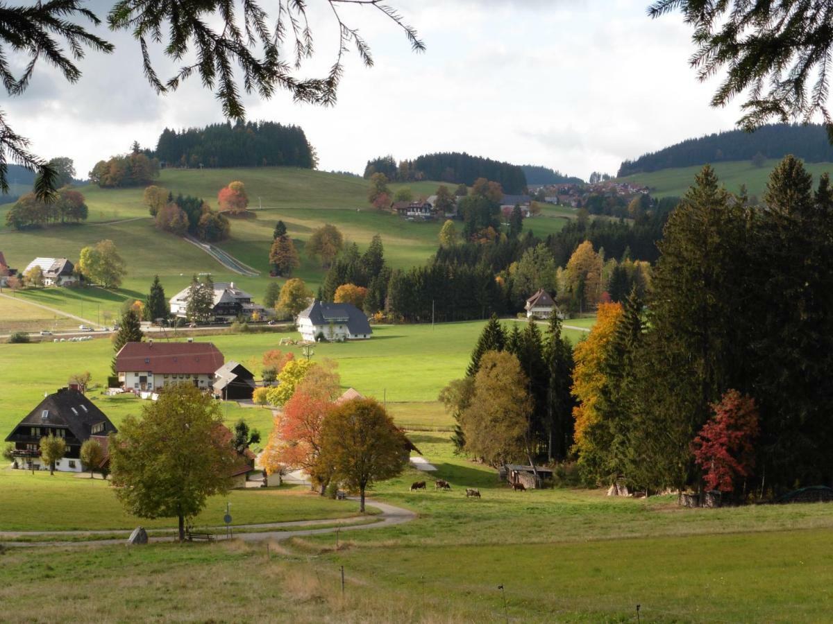 Ferienhaus Ehinger Daire Breitnau Dış mekan fotoğraf