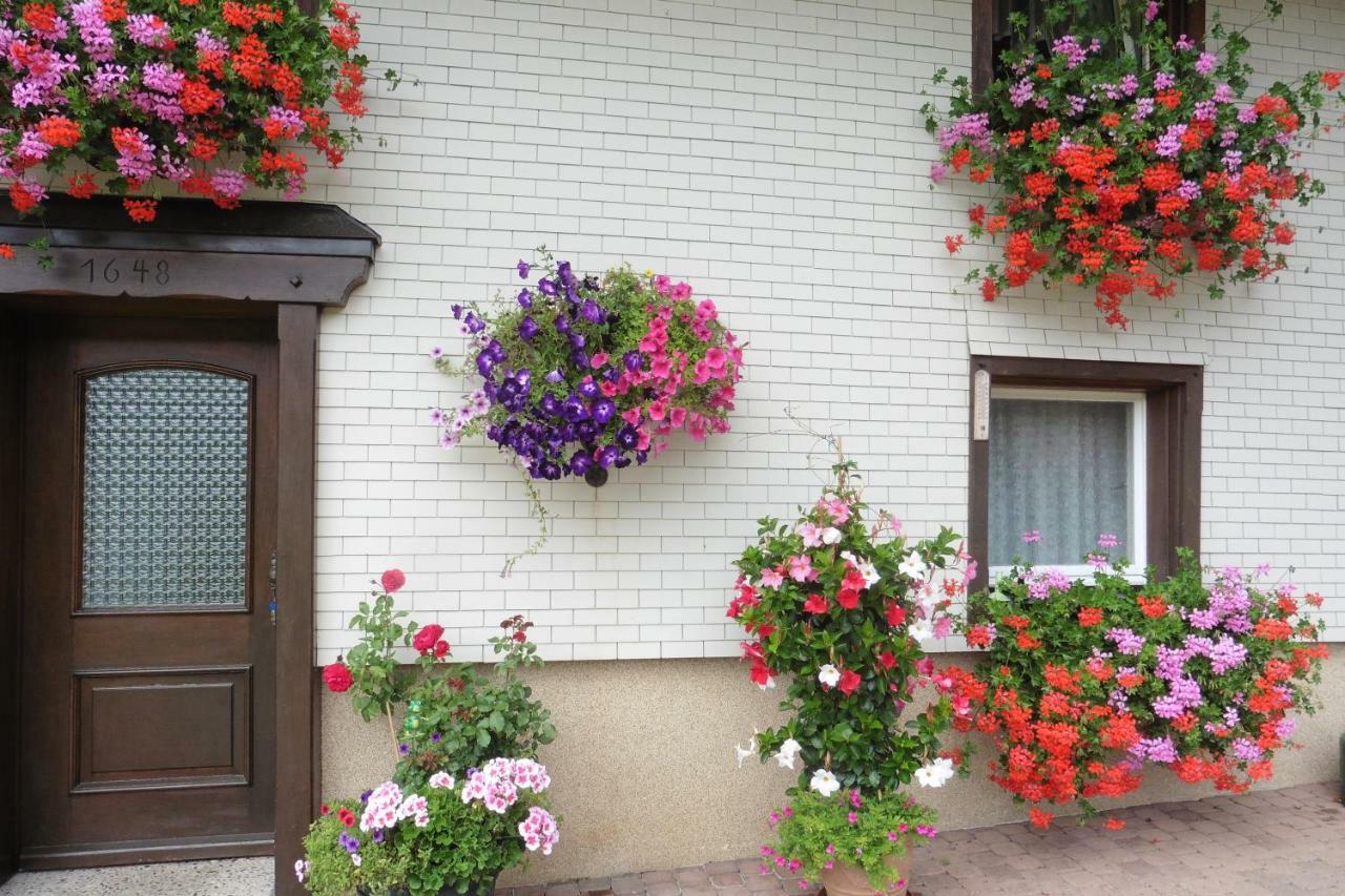 Ferienhaus Ehinger Daire Breitnau Dış mekan fotoğraf