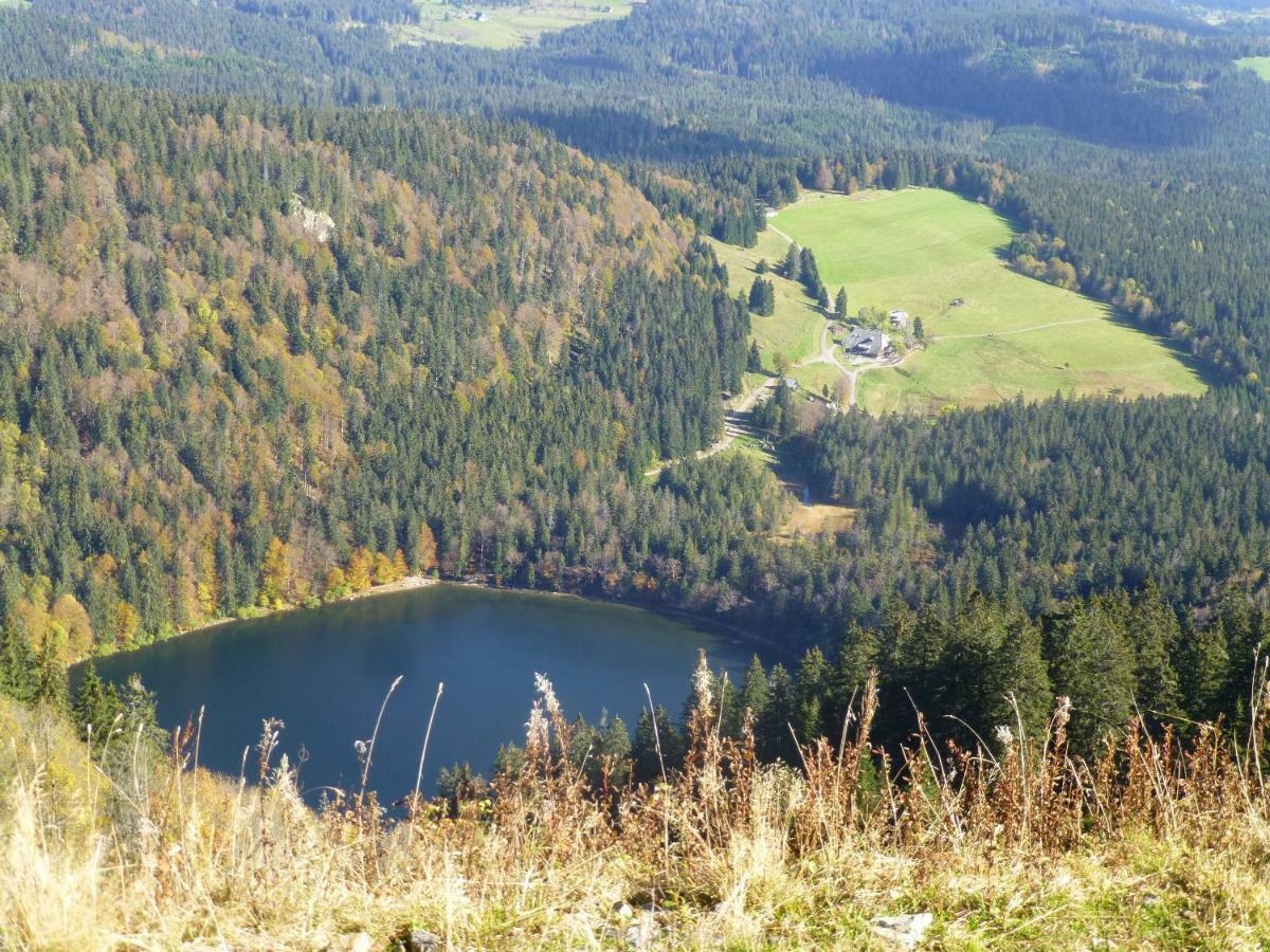 Ferienhaus Ehinger Daire Breitnau Dış mekan fotoğraf